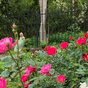 Meet your Posher, Sevim